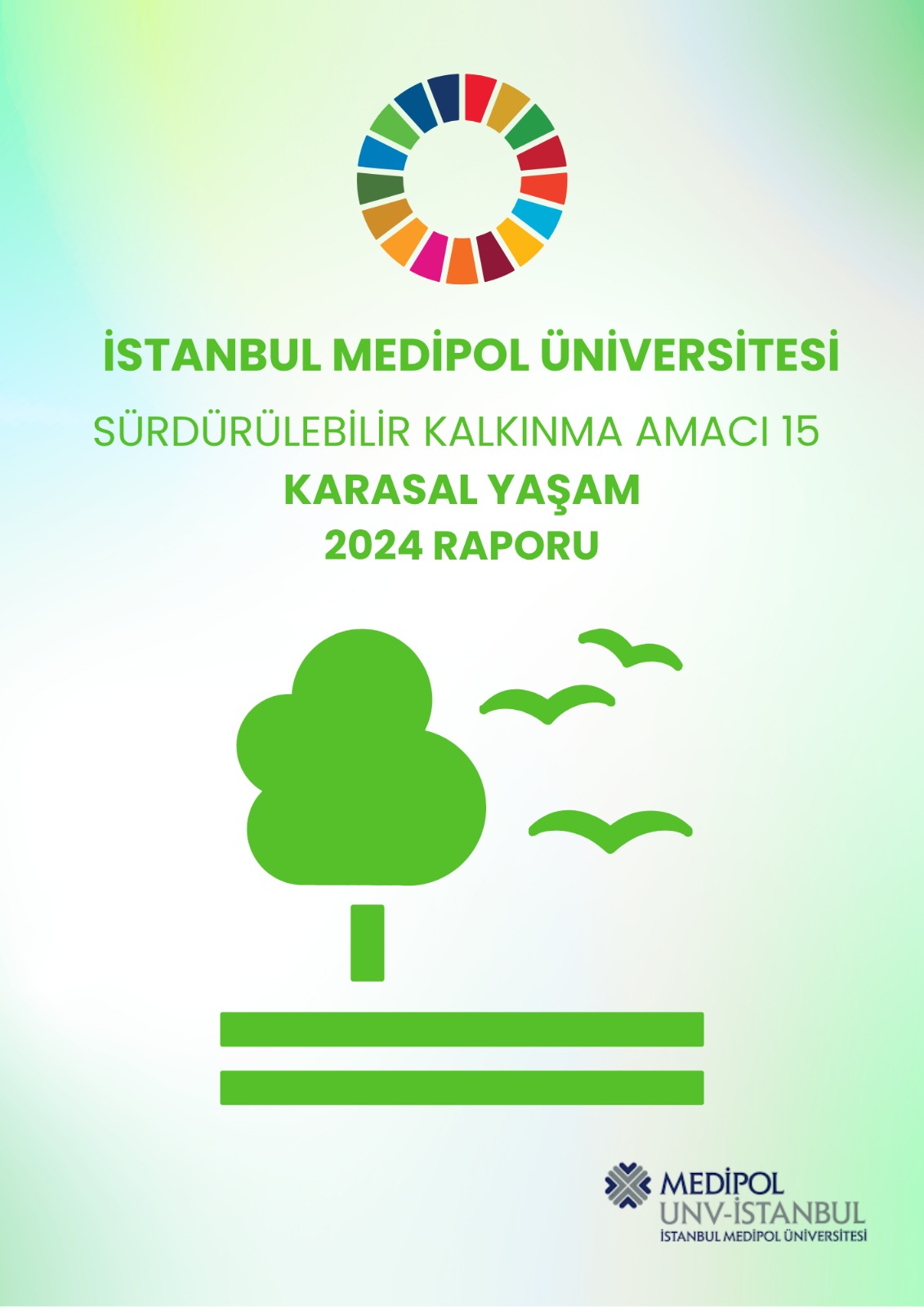 2024 Report Poster