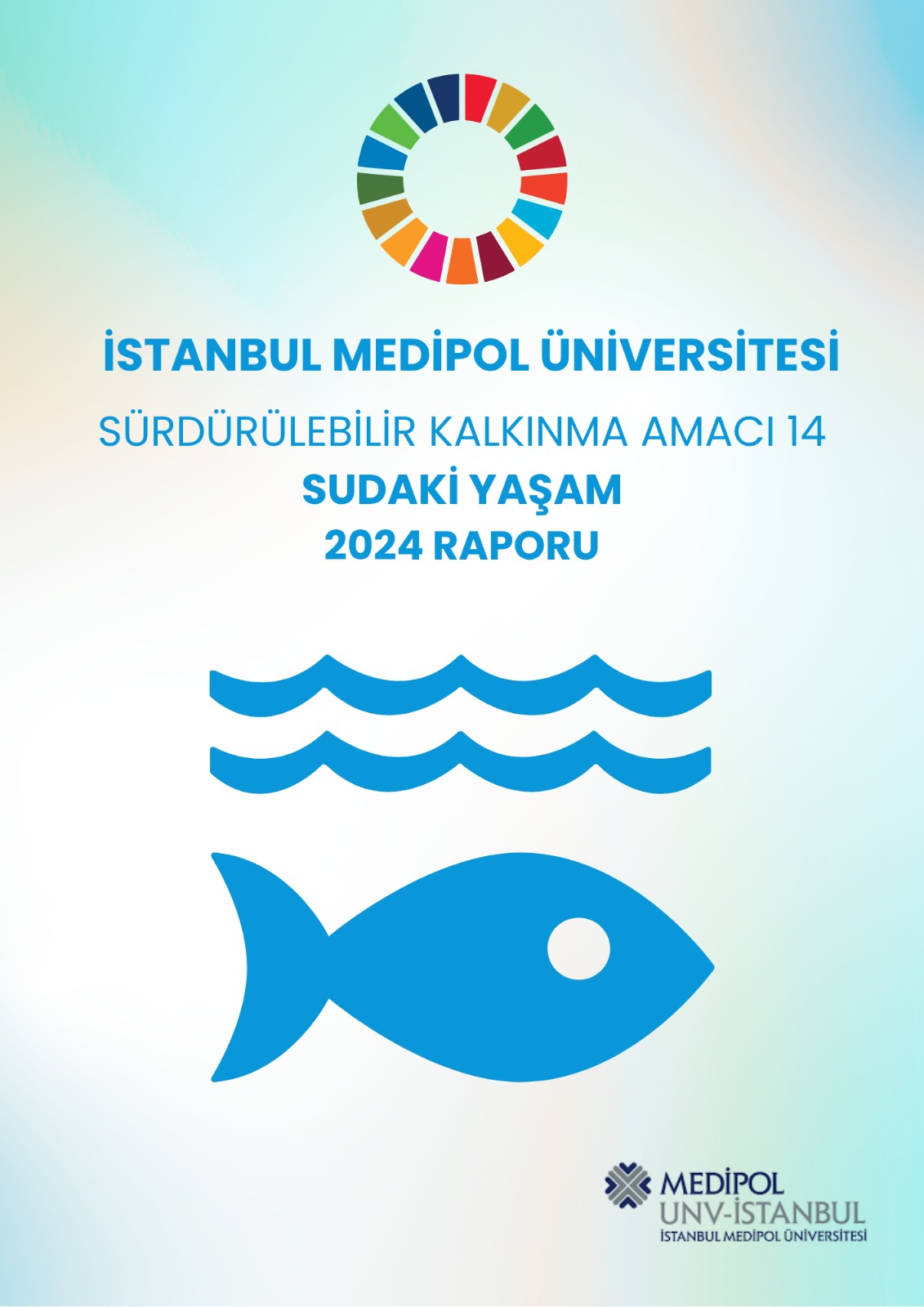 2024 Report Poster