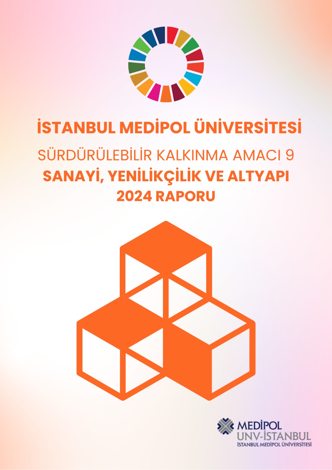 2024 Report Poster