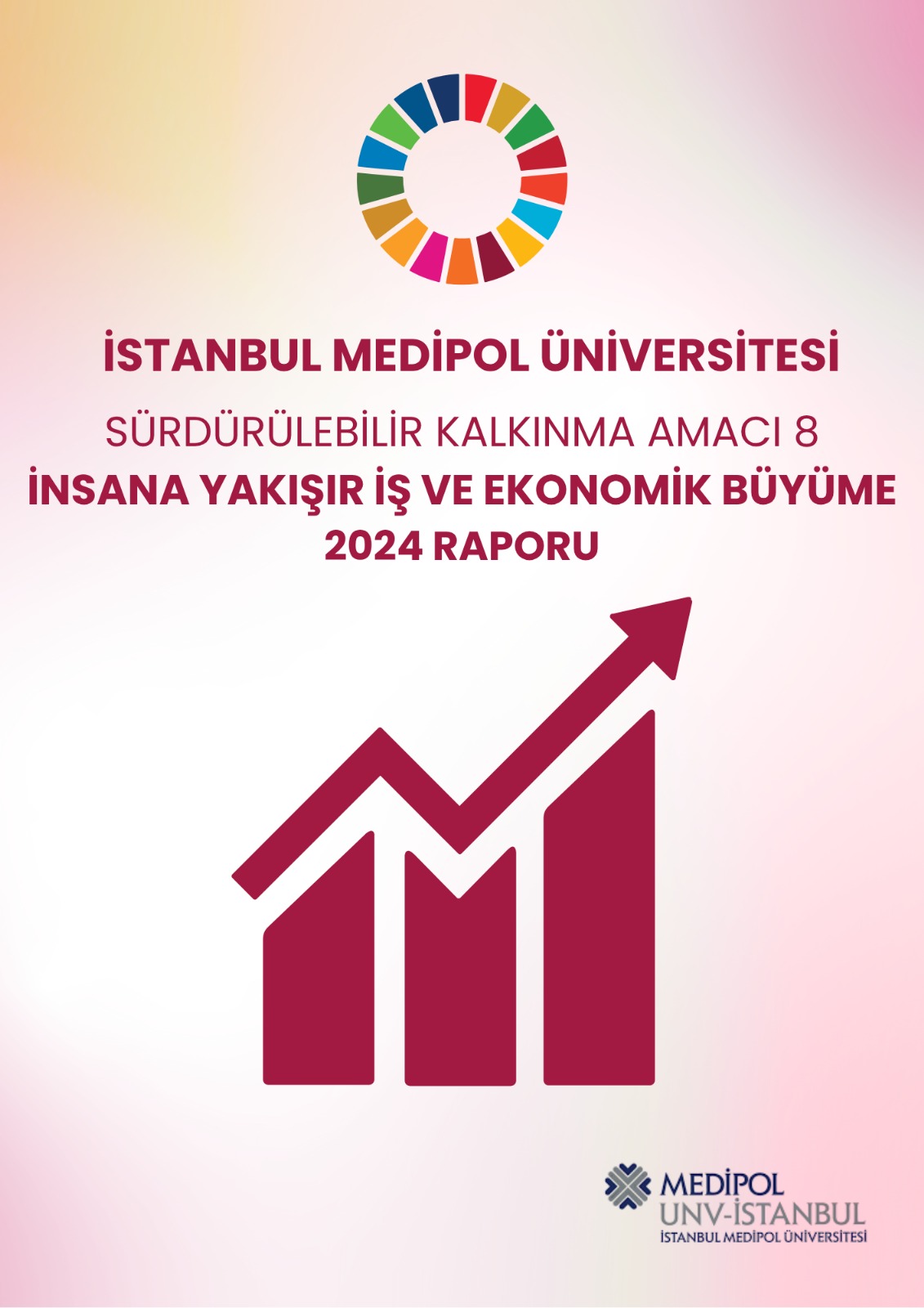 2024 Report Poster